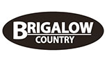 Brigalow