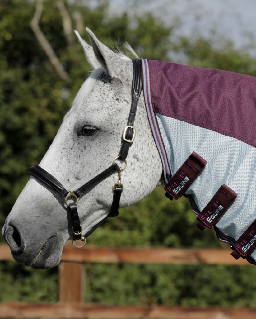 Couverture PREMIER EQUINE Combo Mesh Air Fly avec couvre-cou