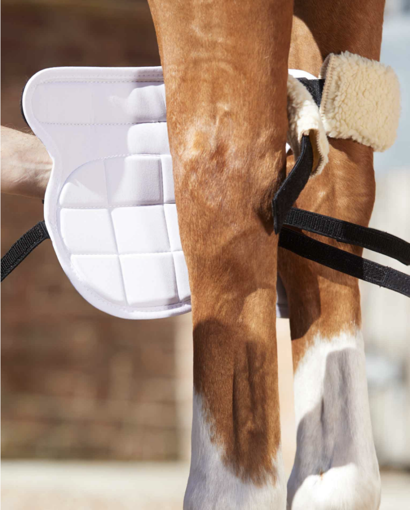 Premier Equine MagniTeque Horse Knee Boots Pakenham Western