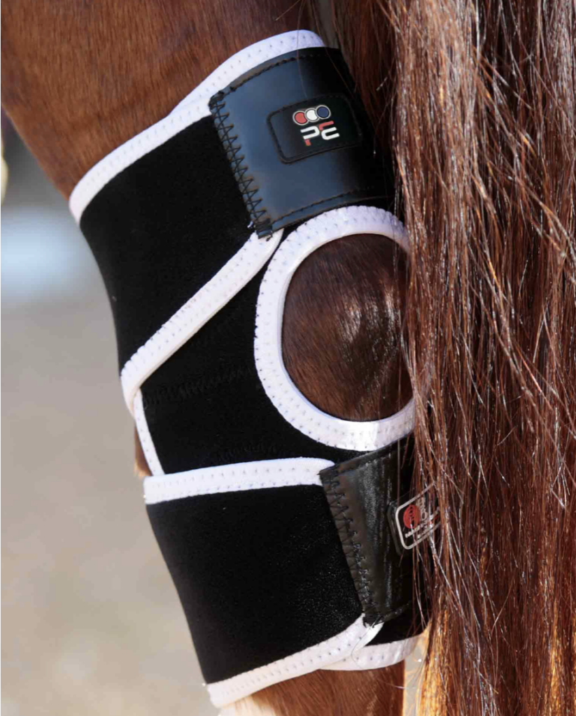 Guêtres Magnétiques Premier Equine Magni-Teque