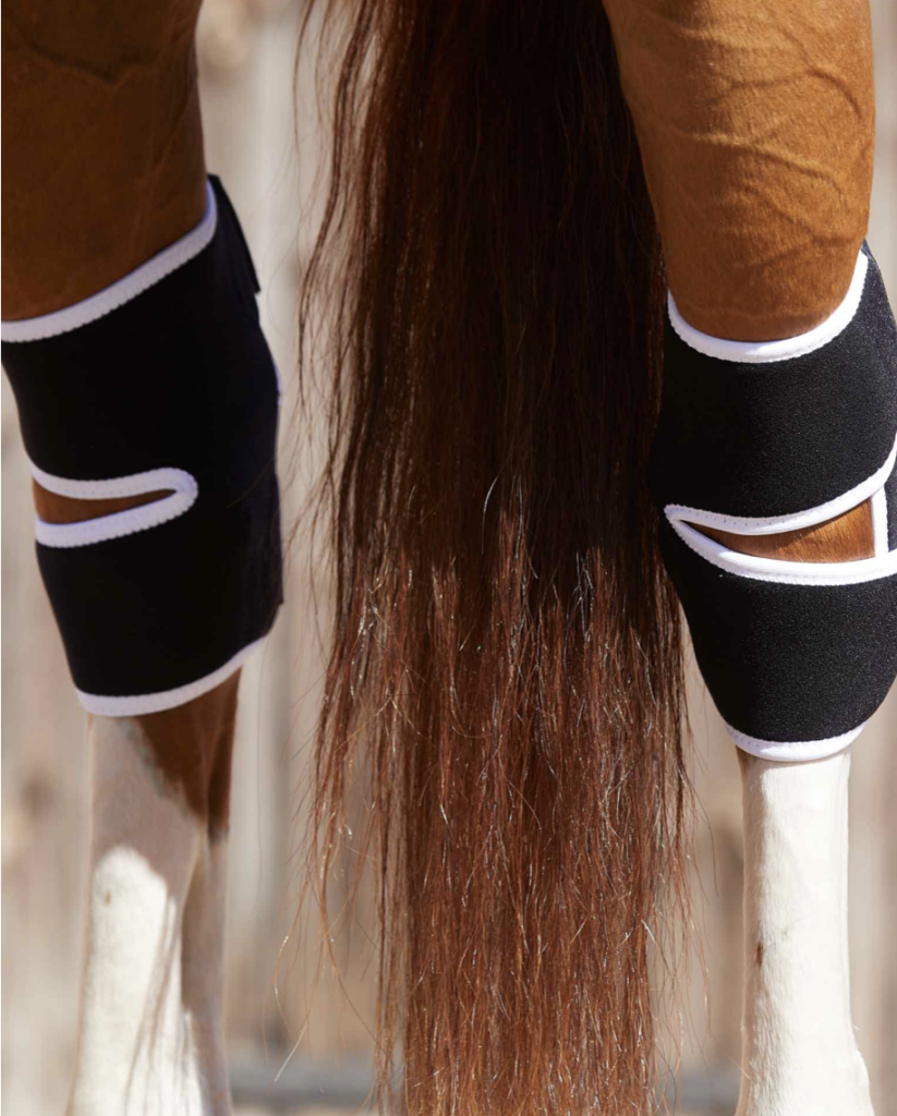 Premier Equine MagniTeque Hock Boots Pakenham Western