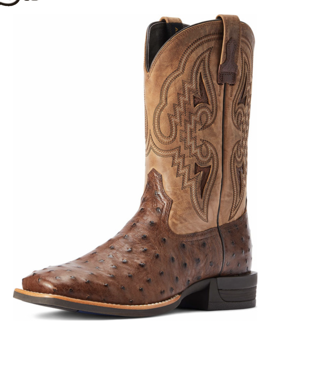 Ariat Men's Boots Dagger Full Quill Ostrich/Tannin 10042475 | Pakenham ...