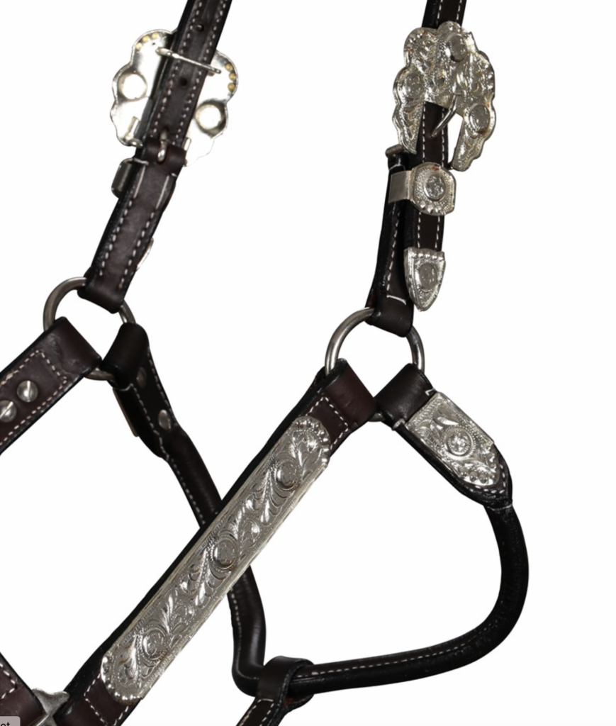 Fort Worth Scottsdale Arabian Silver Halter FOR195-0010 | Pakenham Western