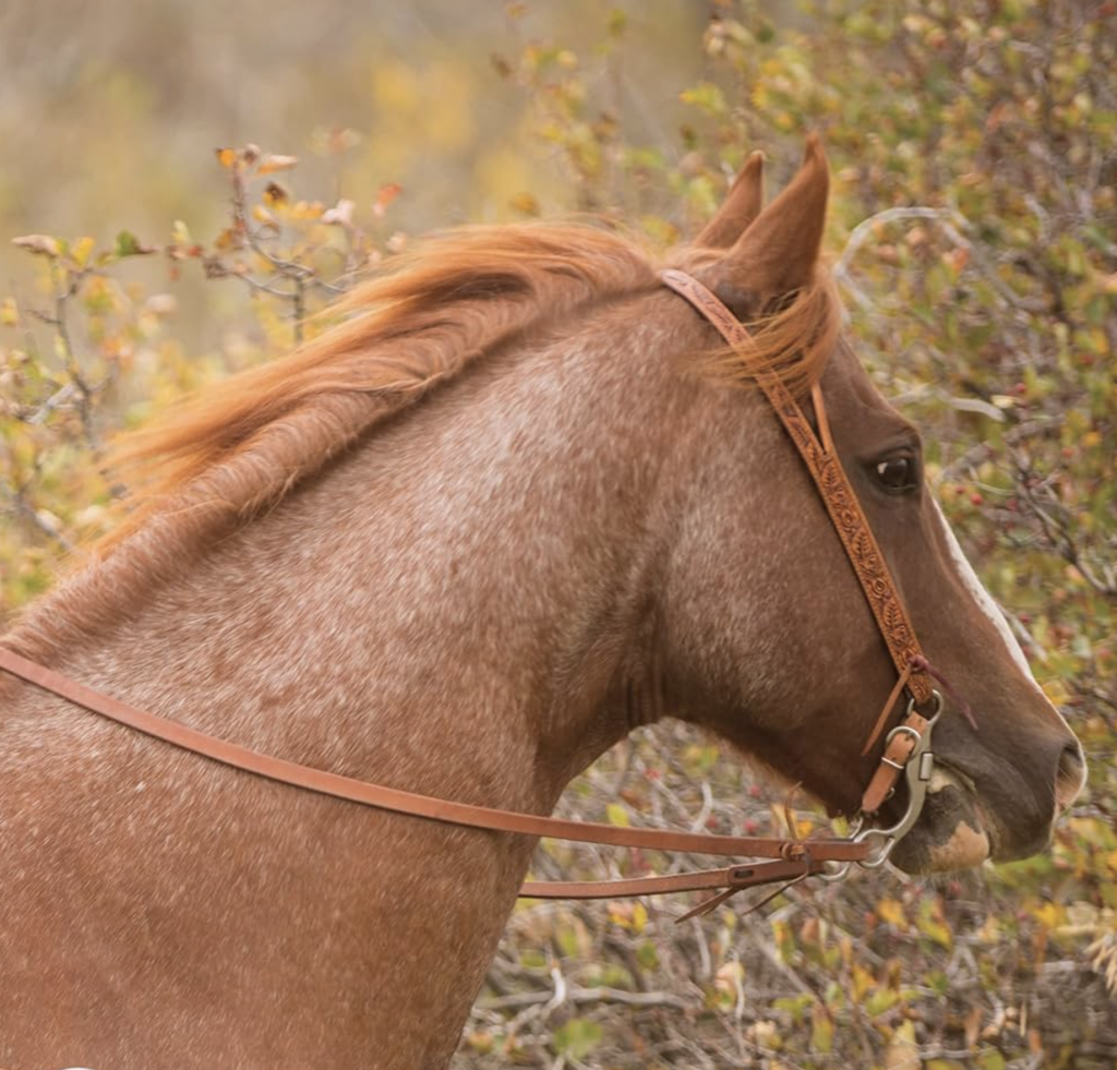 Tooled One Ear Headstall main image 0
