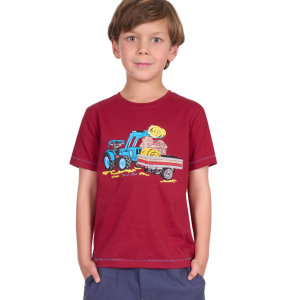 Thomas Cook Boy's T Shirt 'Nicholas' SS Red T5S3513124
