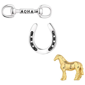 Montana Silversmiths Pins 'Enjoy The Ride' QTT6085