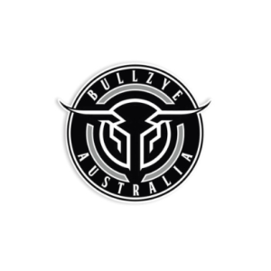 Bullzye Bullring Sticker Black Small BCP1920STI
