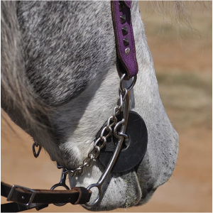 Cashel Bit Guard – Black