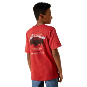 Ariat Boy's T-Shirt 'Patriot Buffalo Coin' Brick Red 10062407