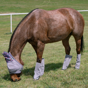 Cashel Crusader Leg Guards V2 Fly Boots Set of 4