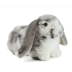 Living Nature Lop Ear Rabbit Grey Plush 30cm AN316G